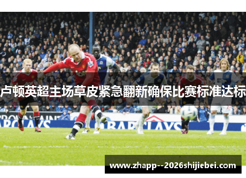 卢顿英超主场草皮紧急翻新确保比赛标准达标